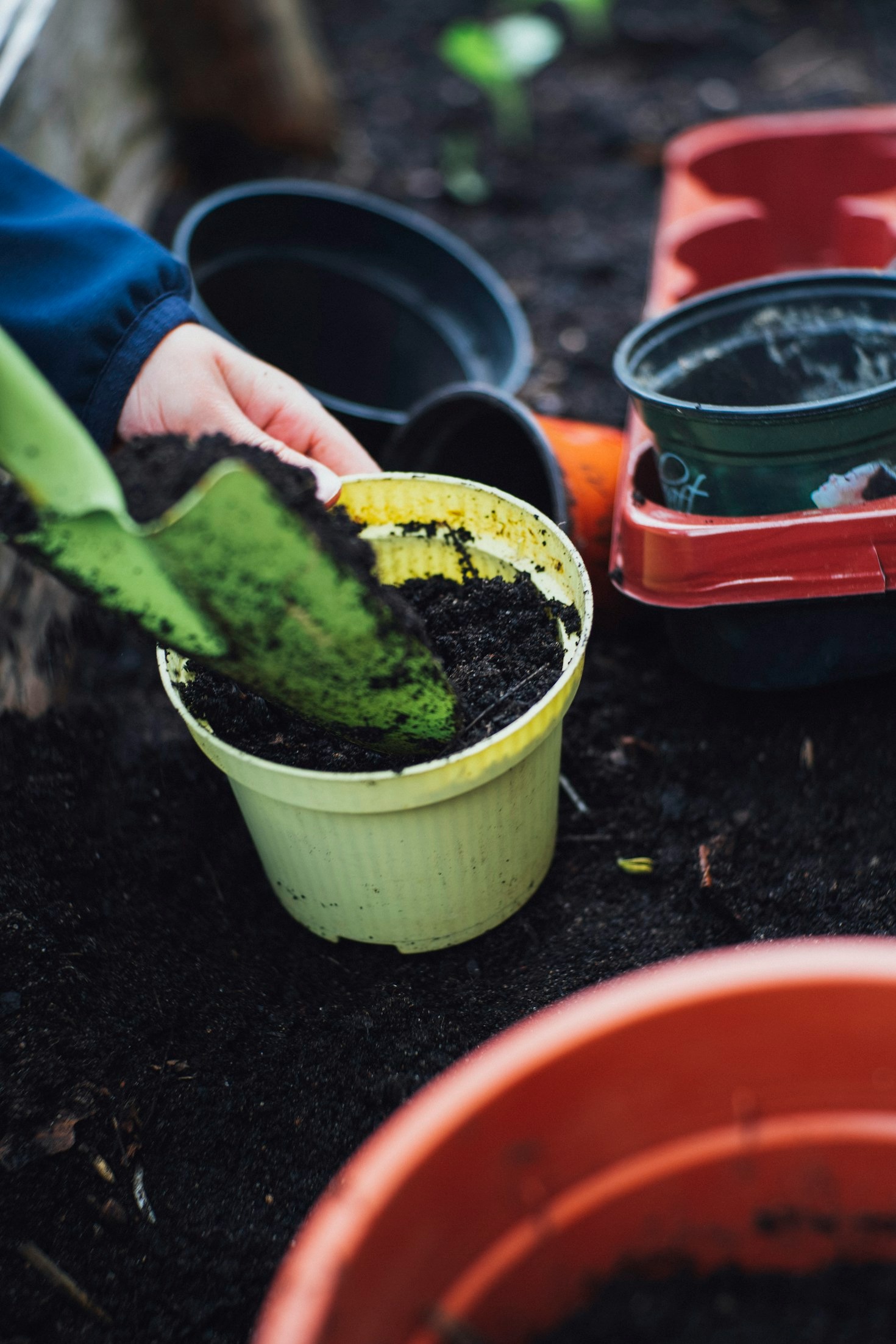How Urban Gardening Combats Climate Change