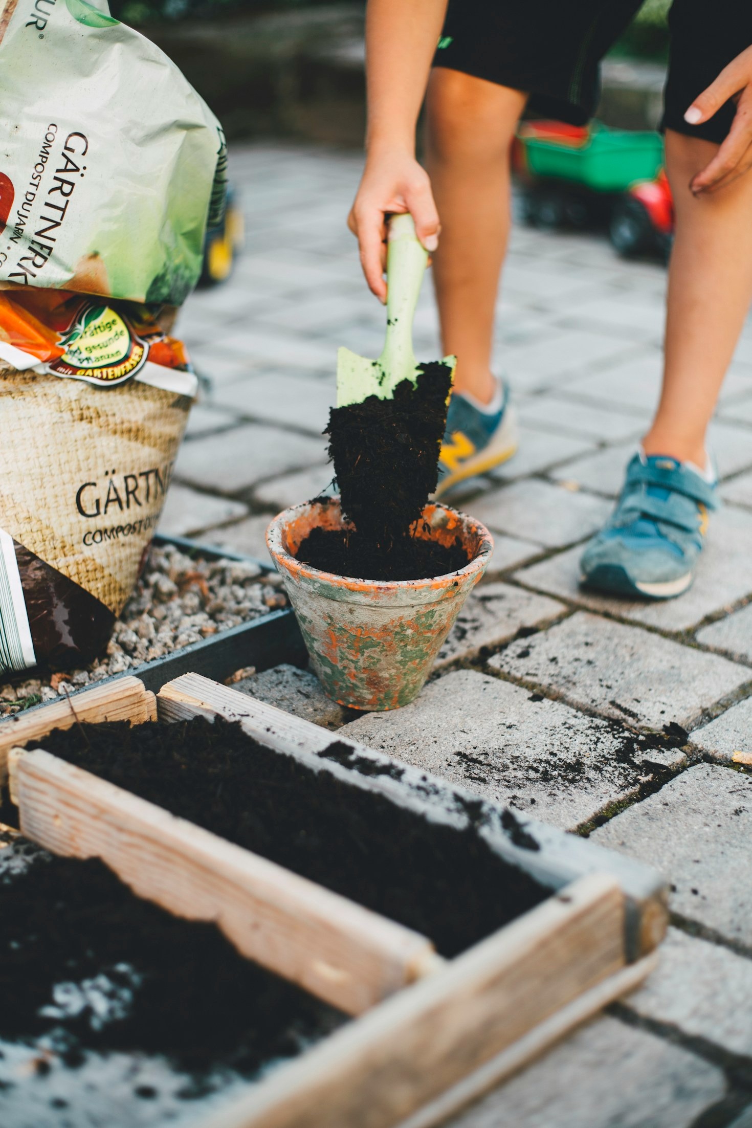 Beginner’s Guide to Urban Edible Gardening